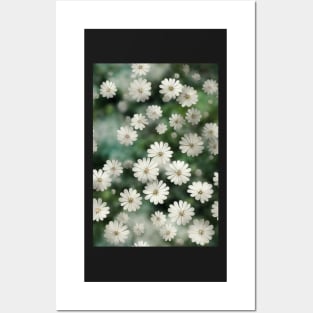 Beautiful White Flowers, for all those who love nature #143 Posters and Art